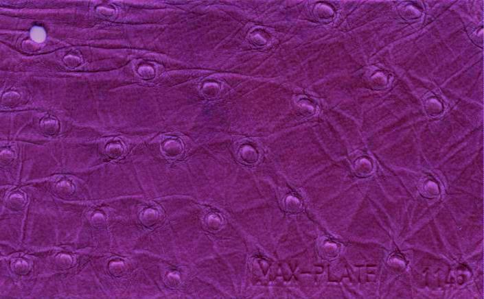 Assumenda accus antium